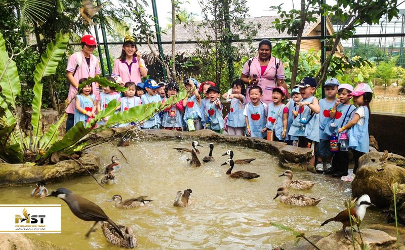 مزرعه در شهر