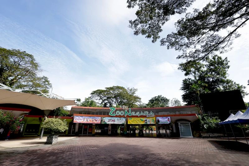 باغ وحش کوالالامپور یا همان باغ وحش نگارا (Zoo Negara) واقعاً دیدنی است. خبری از تصویر ناراحت&zwnj;کننده حیوان&zwnj;های اسیر در قفس در آن نیست.