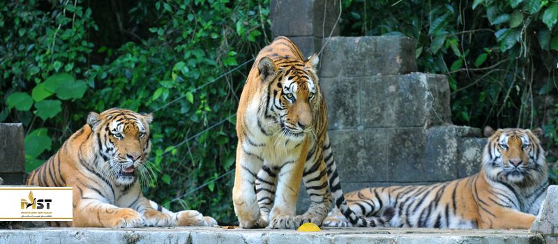 Lost World of Tambun در کوالالامپور