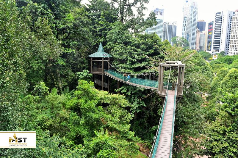 جنگل اکوپارک کوالالامپور