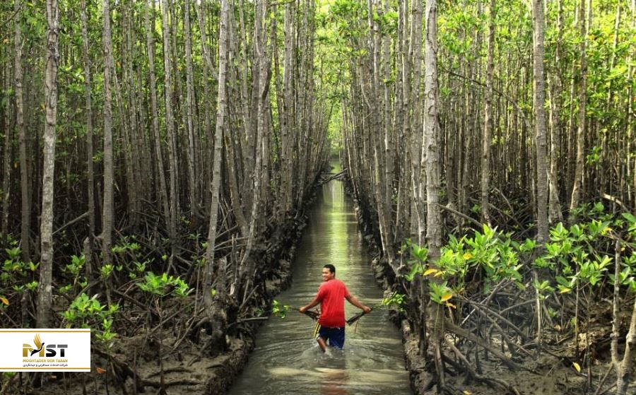 پارک اکو کوالالامپور