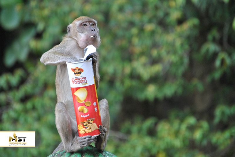 غارهای باتو