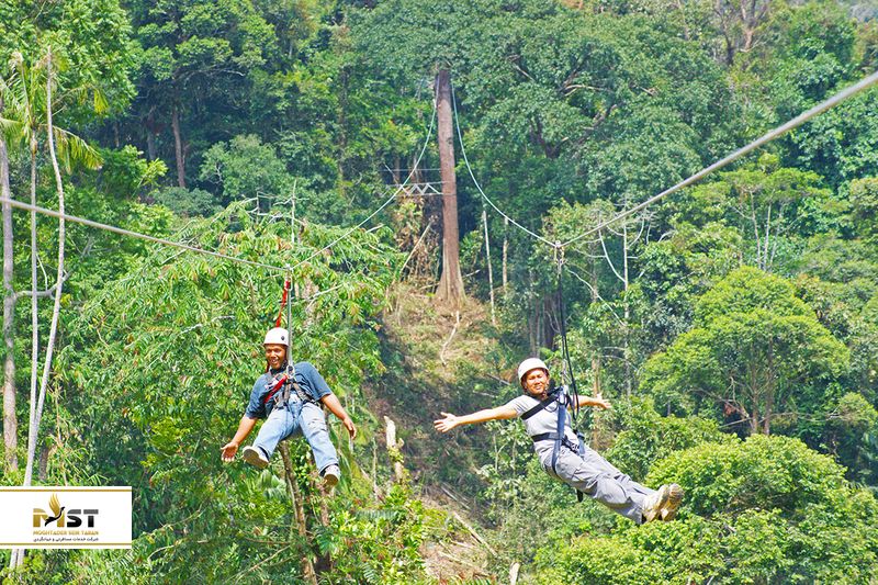 کولمار تروپیکال
