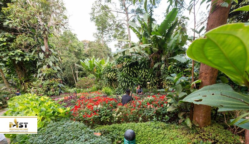  باغ گیاه&zwnj;شناسی