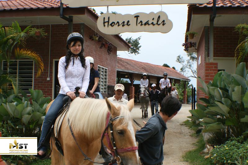 کولمار تروپیکال