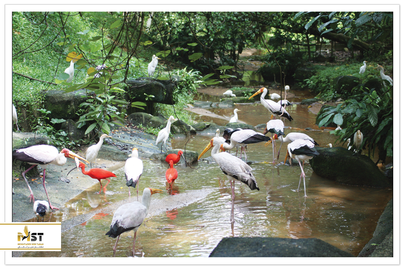 کوالالامپور