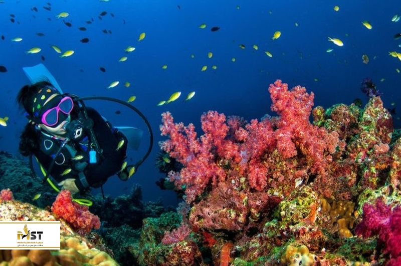  سفر به لنکاوی