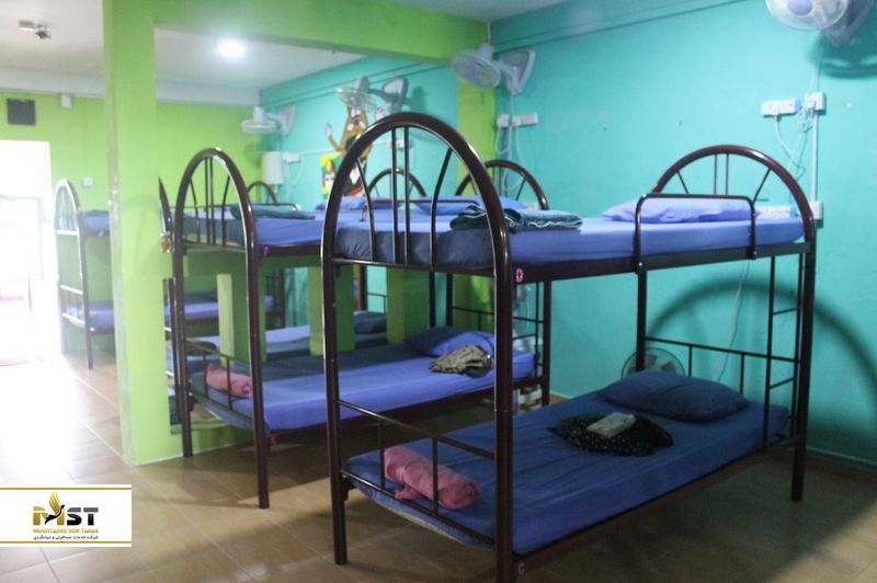 Sweet Monkey Backpacker