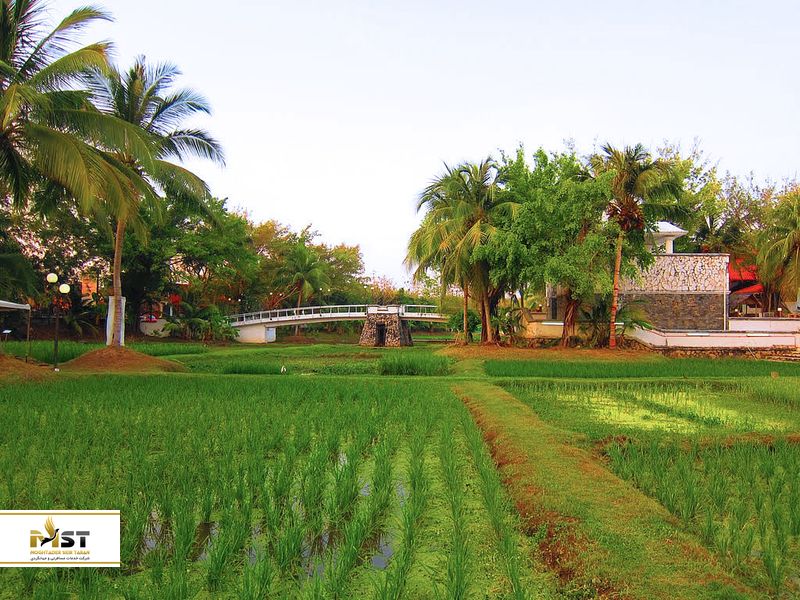 موزه باغ برنج