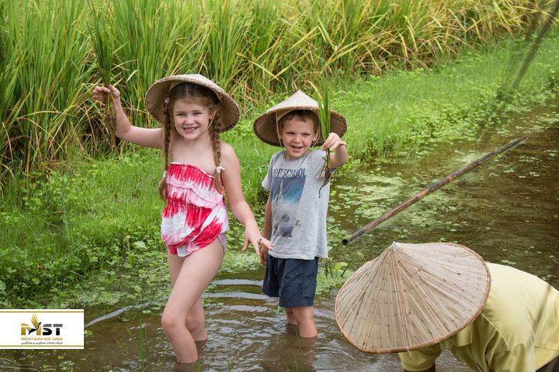 تور شالیزار در لنکاوی