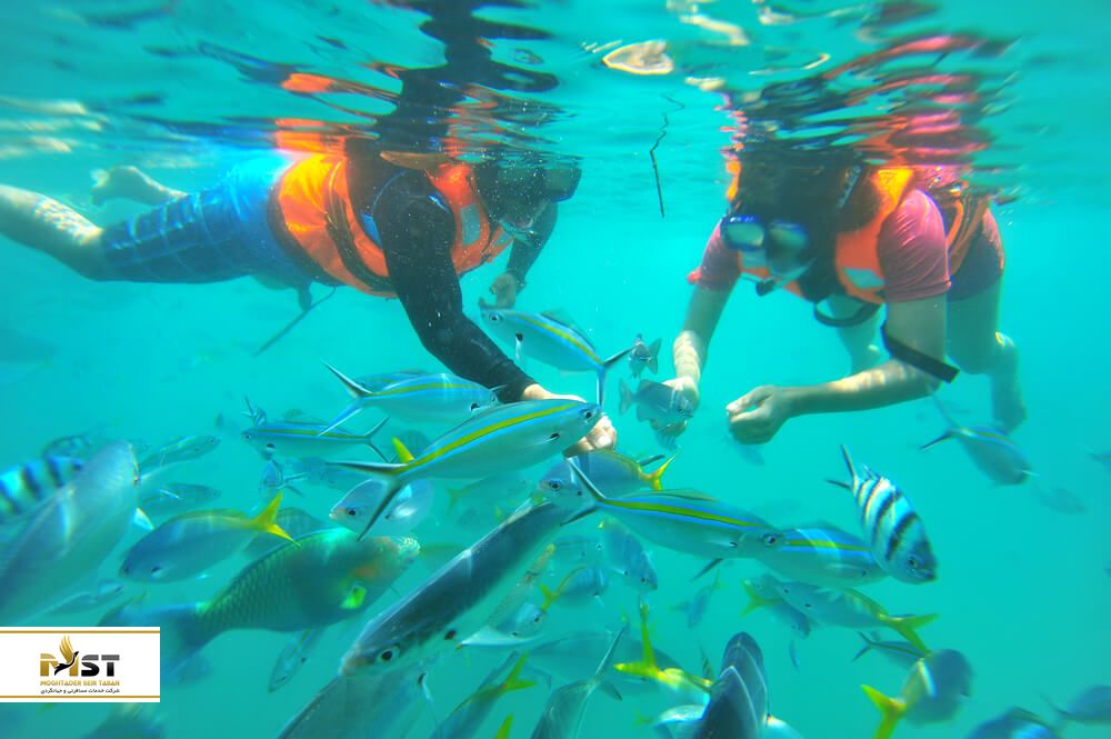 دنیای زیر آب لنکاوی