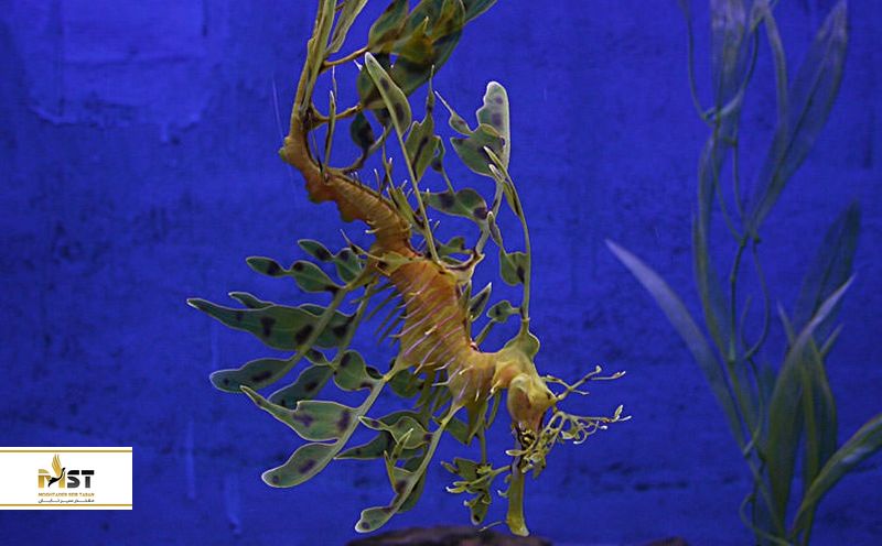 Underwater World Langkawi