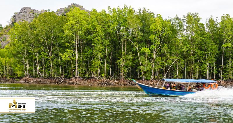 سافاری جنگل&zwnj;های مانگرو