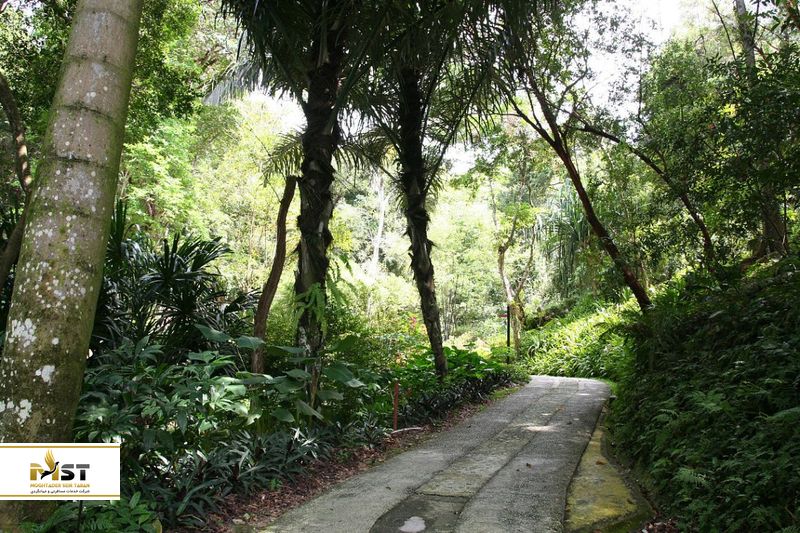 tropical-spice-garden