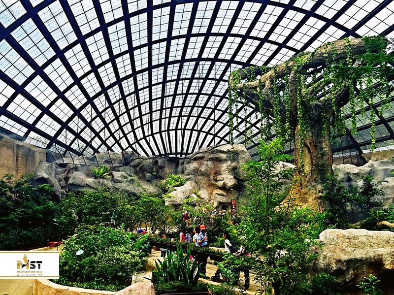 مزرعه پروانههای Entopia