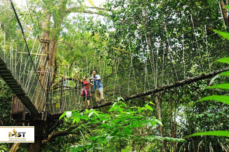 پارک ملی پنانگ در مالزی