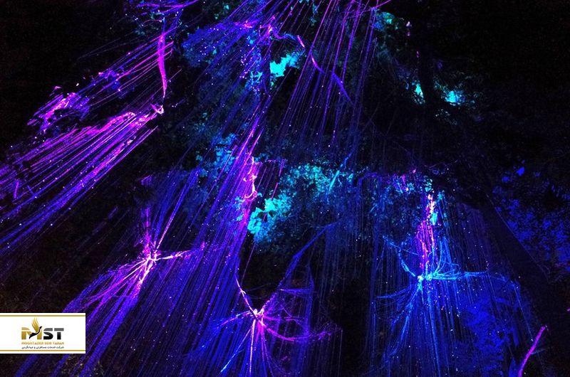 تاریکی پارک آواتار