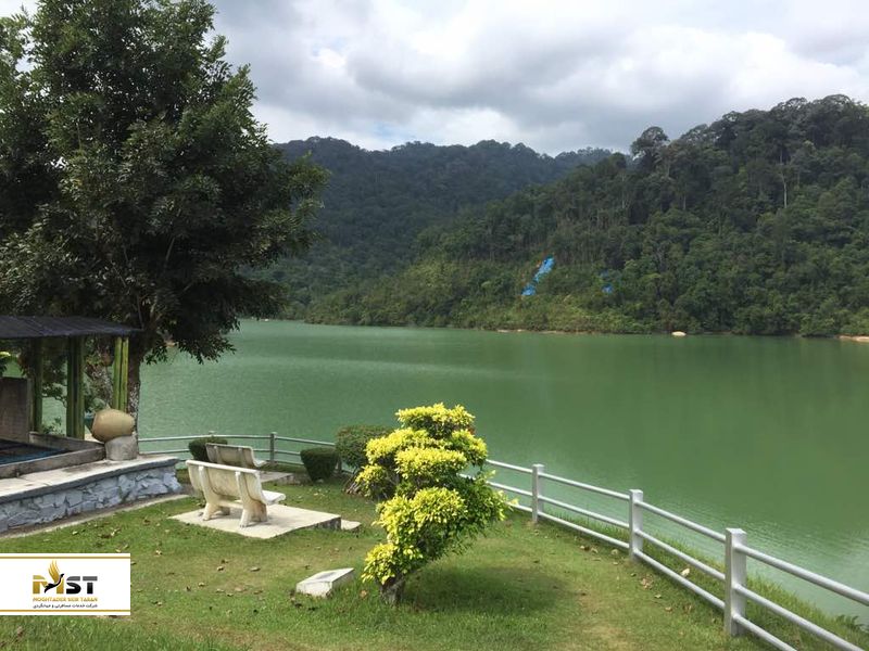 ایر ایتام دام