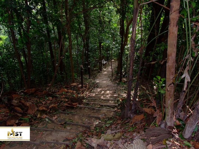 بوکیت جامبول