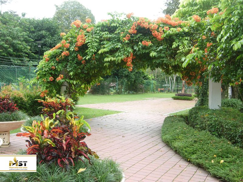 باغ گیاهشناسی پنانگ