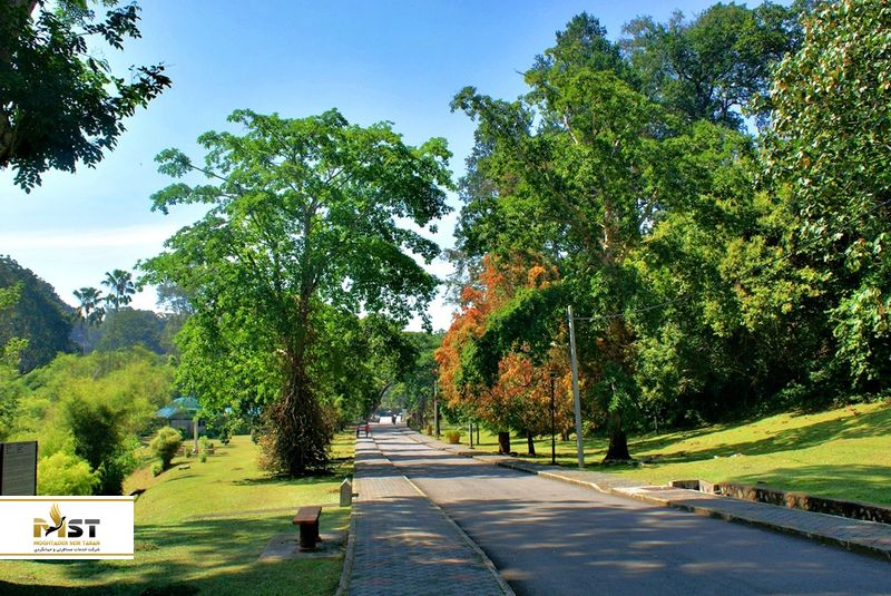 باغ&zwnj; گیاه&zwnj;شناسی پنانگ