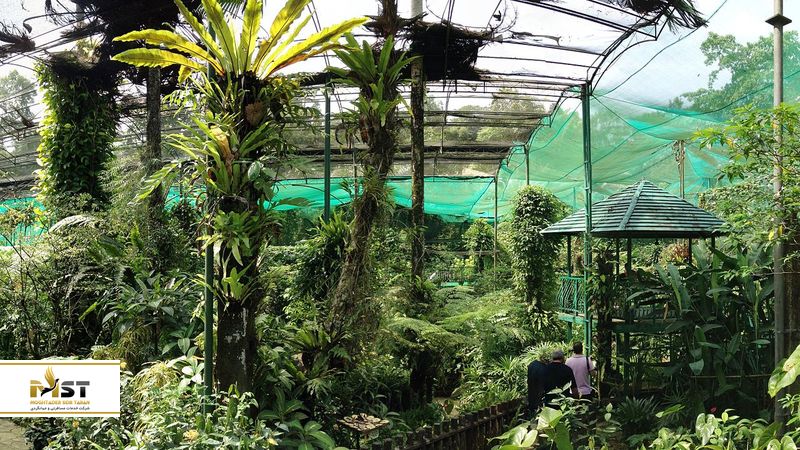 butterfly-land-penang