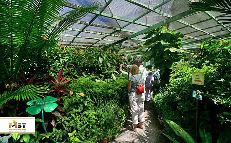 butterfly-land-penang