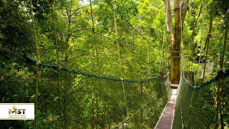 penang-national-park