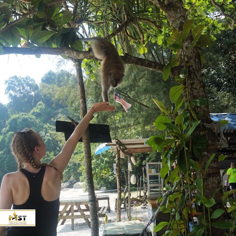 penang national park