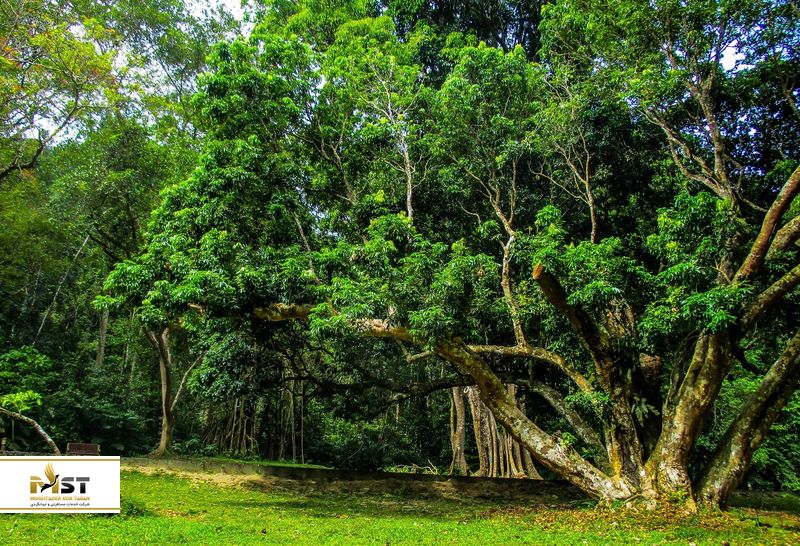  پارک ملی پنانگ