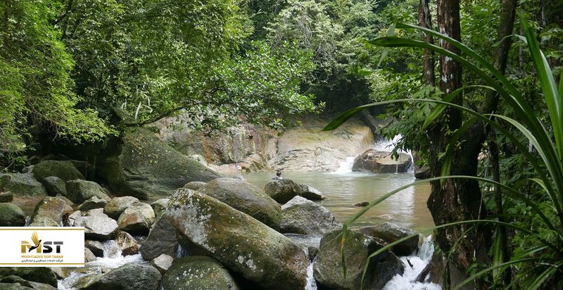  پارک ملی پنانگ