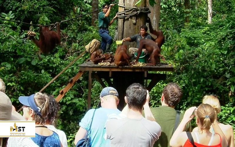 مرکز بازپروری سپیلوک