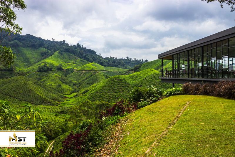 کمپهای ویژه در جنگلهای بارانی مالزی