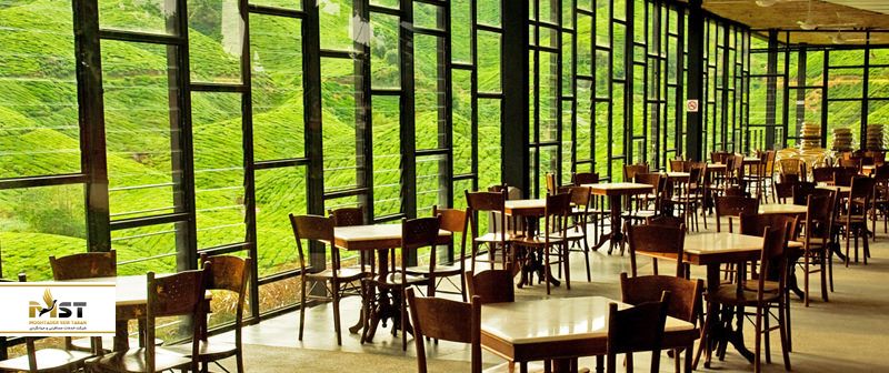 کافههای طبیعی در کامرون مالزی