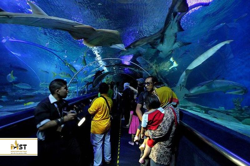 kuala-lumpur-aquarium-1_result