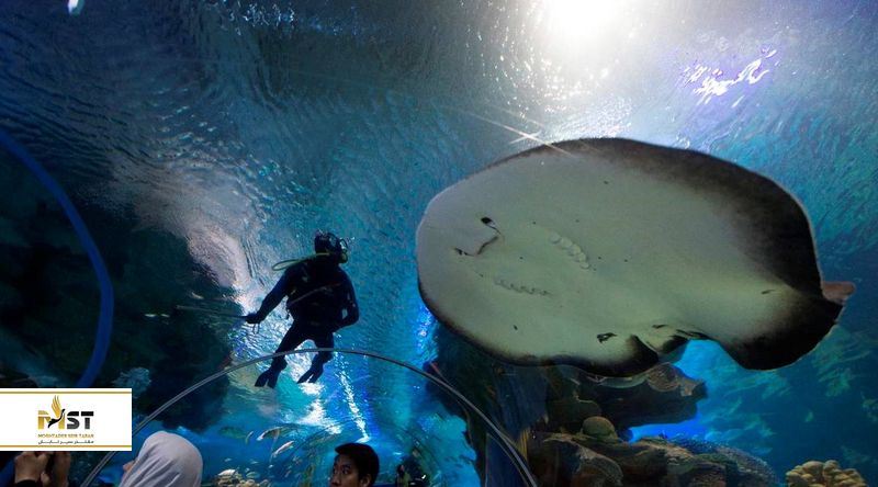 kuala-lumpur-aquarium-2_result