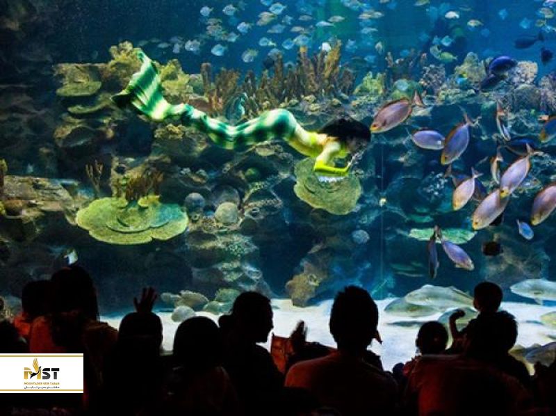 kuala-lumpur-aquarium-3_result