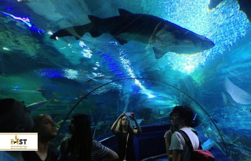 kuala-lumpur-aquarium-5_result