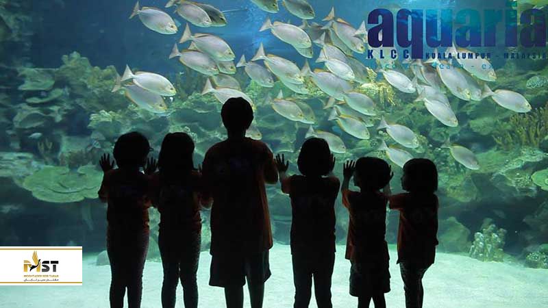 kuala-lumpur-aquarium-6_result