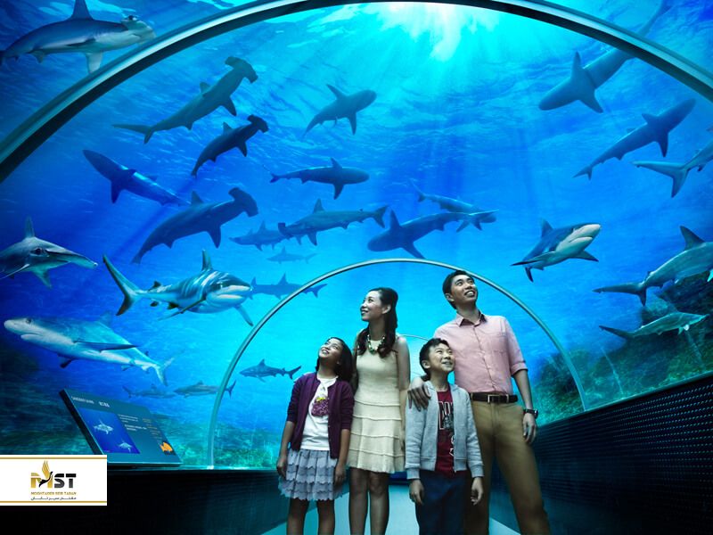 kuala-lumpur-aquarium-7_result