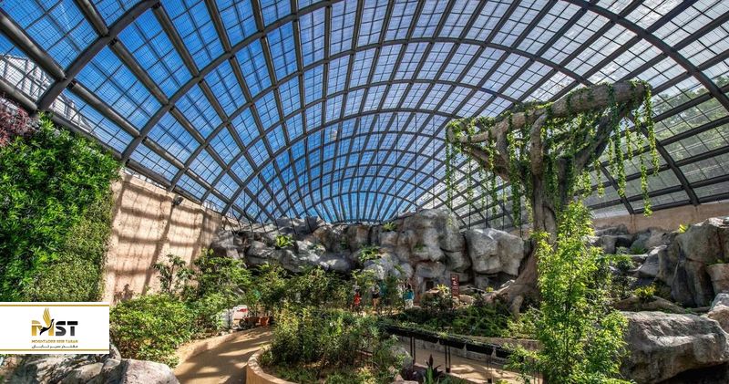 پروانههای زیبا و رنگارنگ پنانگ