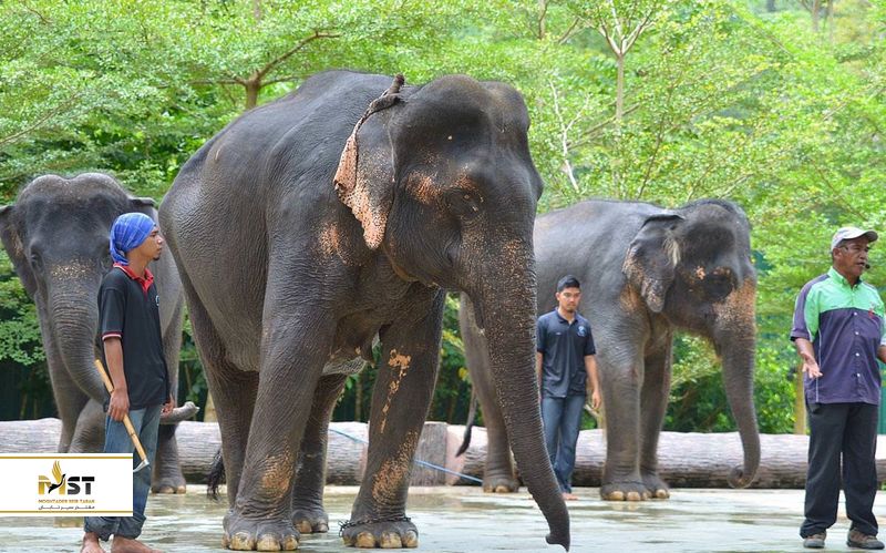 کوالا گاندا