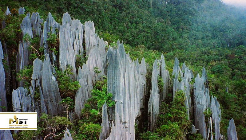 پارک ملی گونونگ مولو