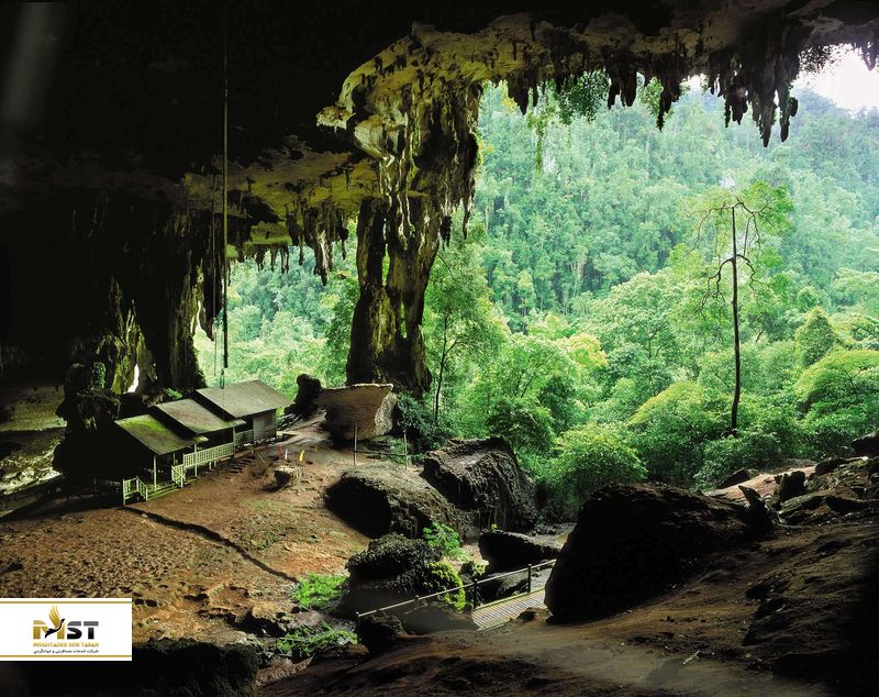 پارک ملی نیا