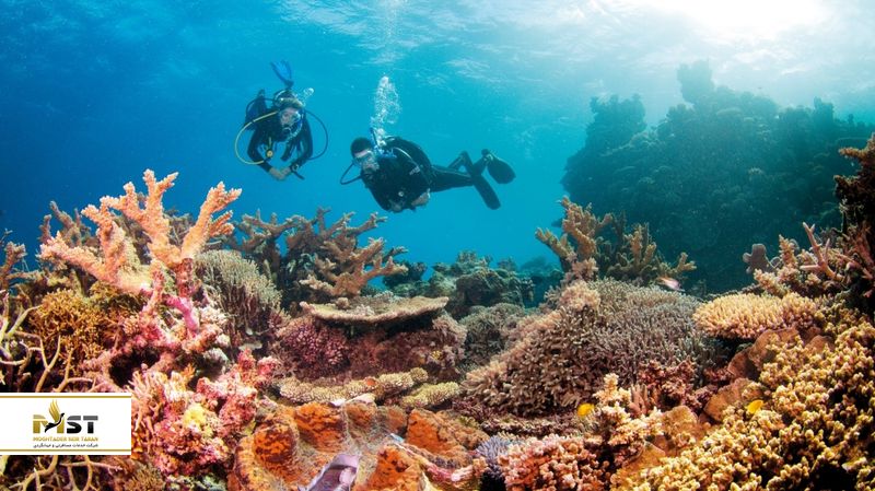 جزیره ردانگ