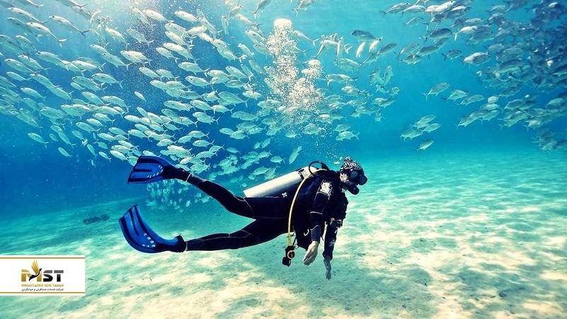 جزیره ردانگ