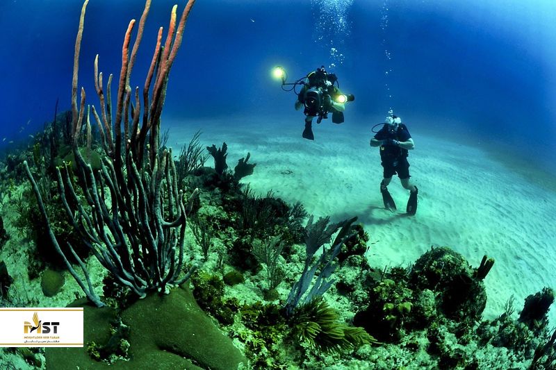 غواصی در مالزی