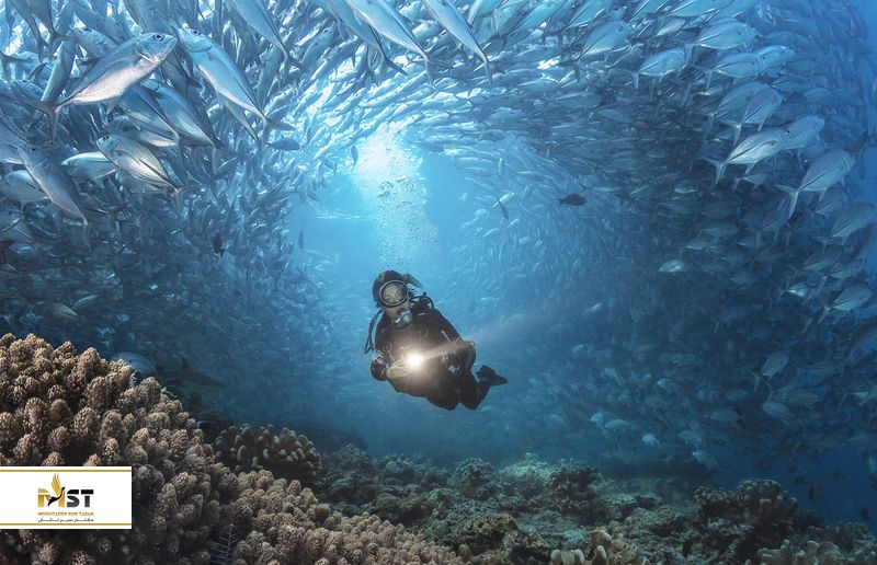 غواصی در مالزی