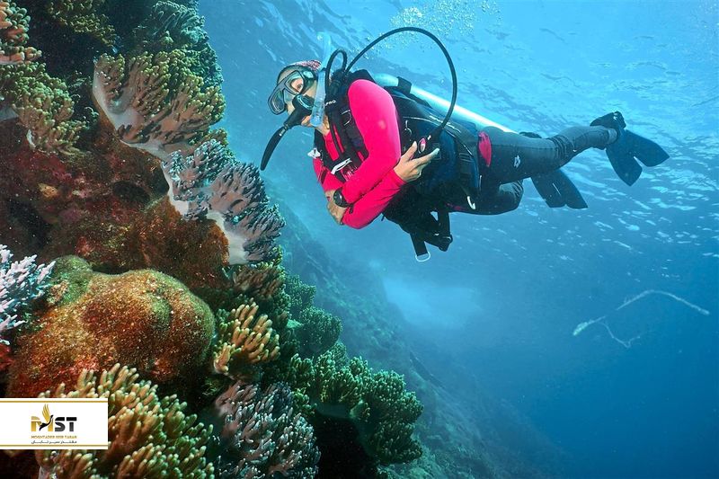 غواصی در مالزی