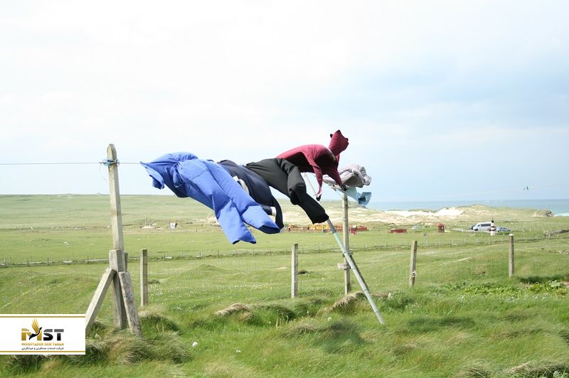 اداب سفر به سنگاپور